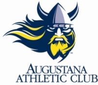 Viking logo