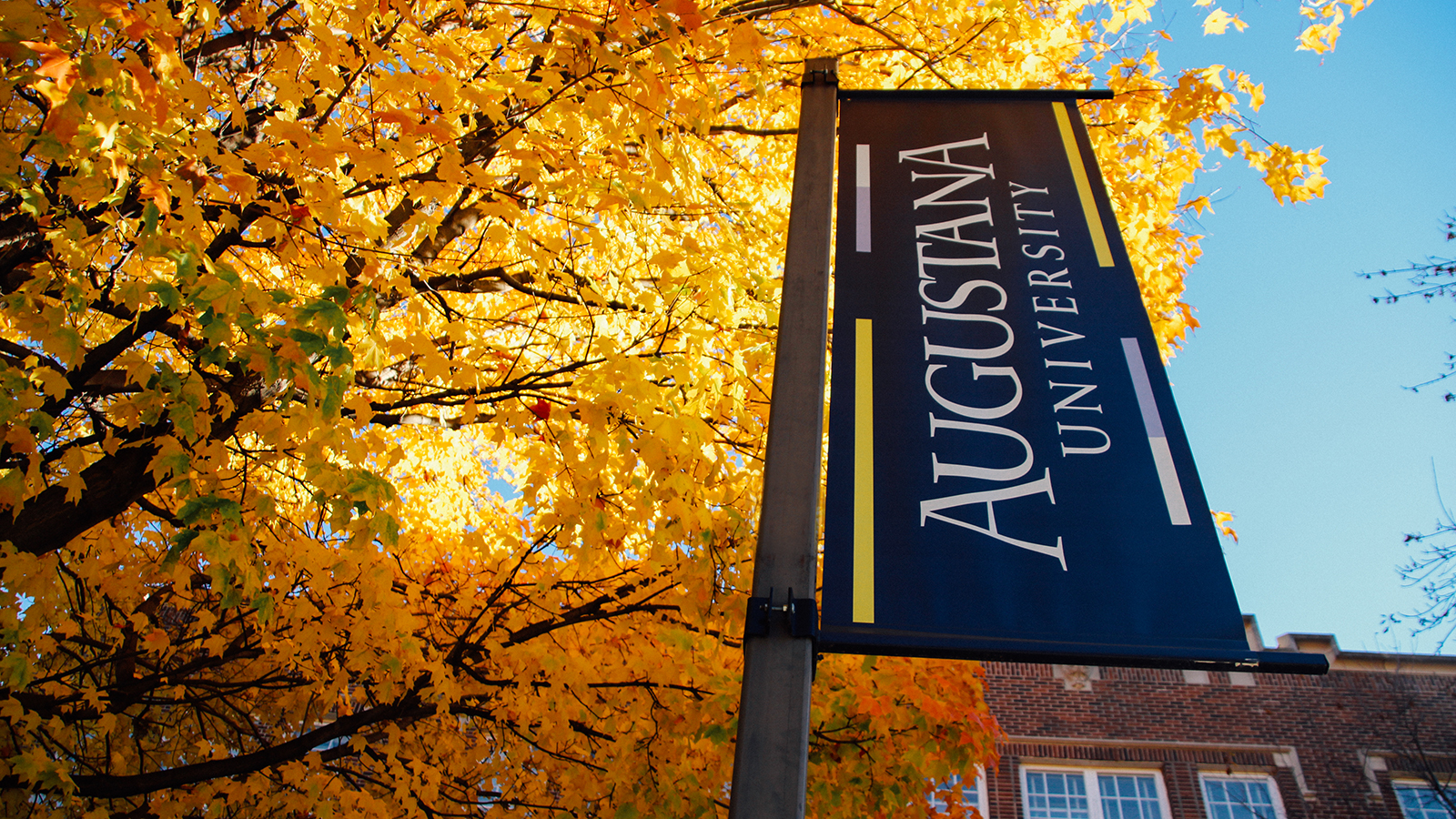 Augustana University offers more than 100 majors, minors and pre-professional programs.