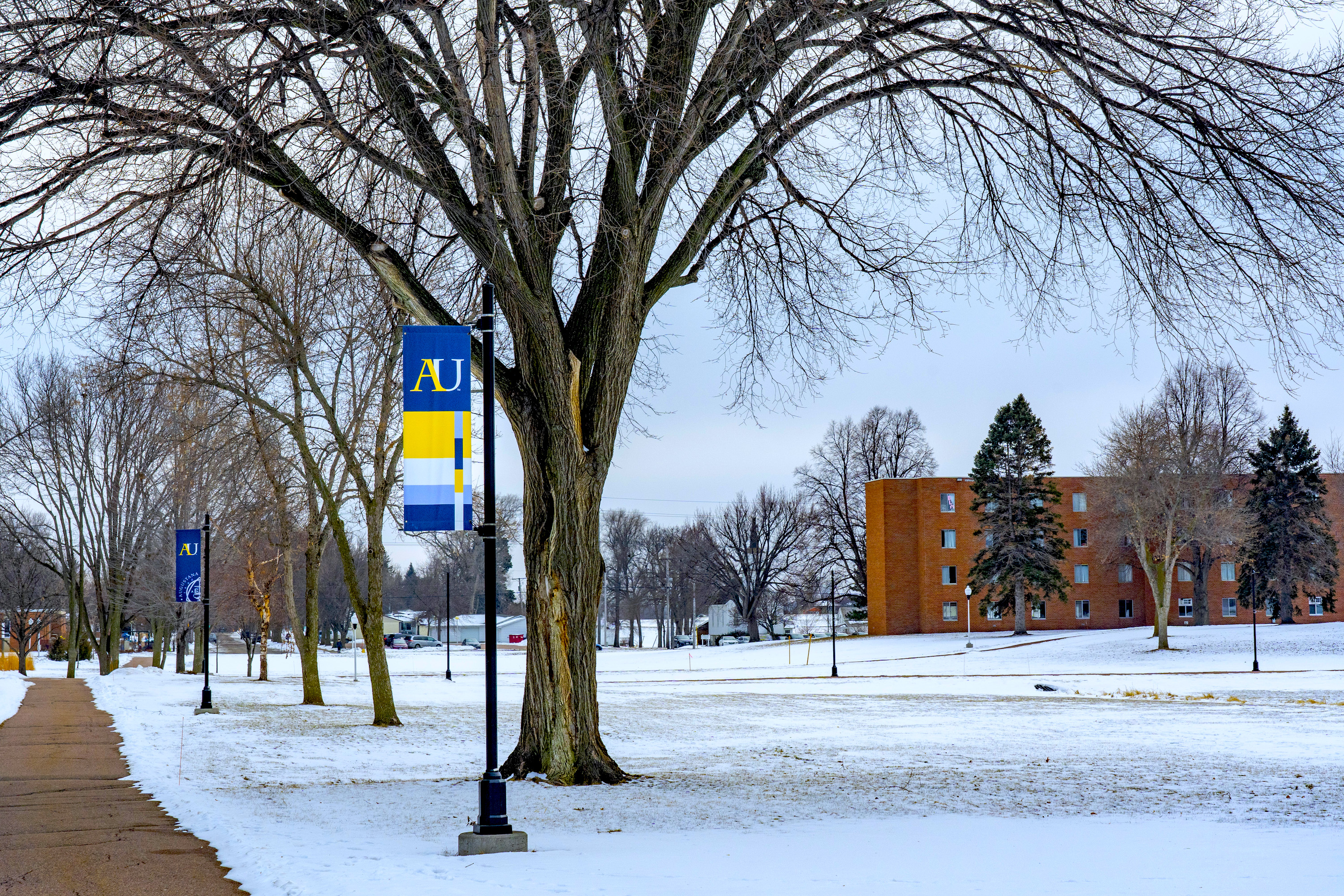 Winter-Campus