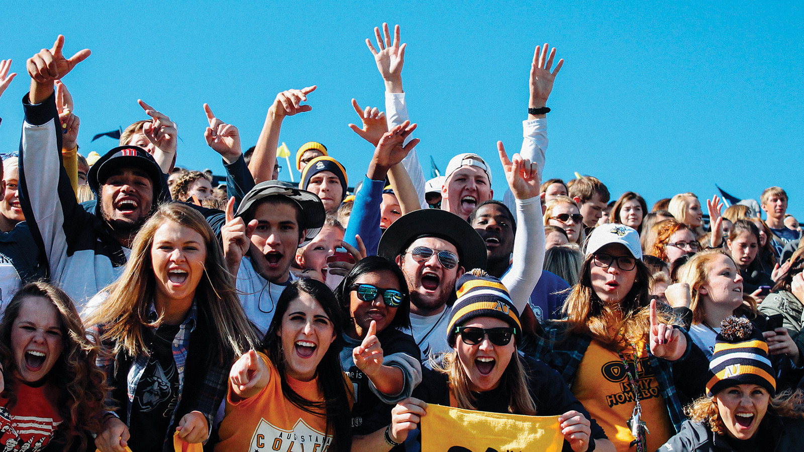 Fans cheer on the Augustana Vikings. 