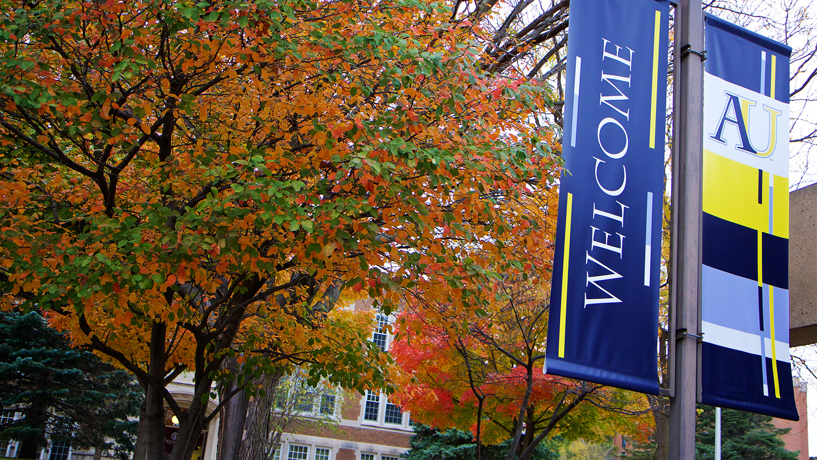 Augustana University offers more than 100 majors, minors and pre-professional programs.