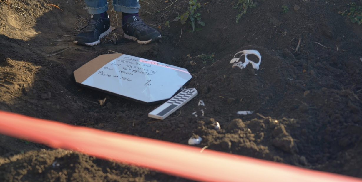 forensics digging site