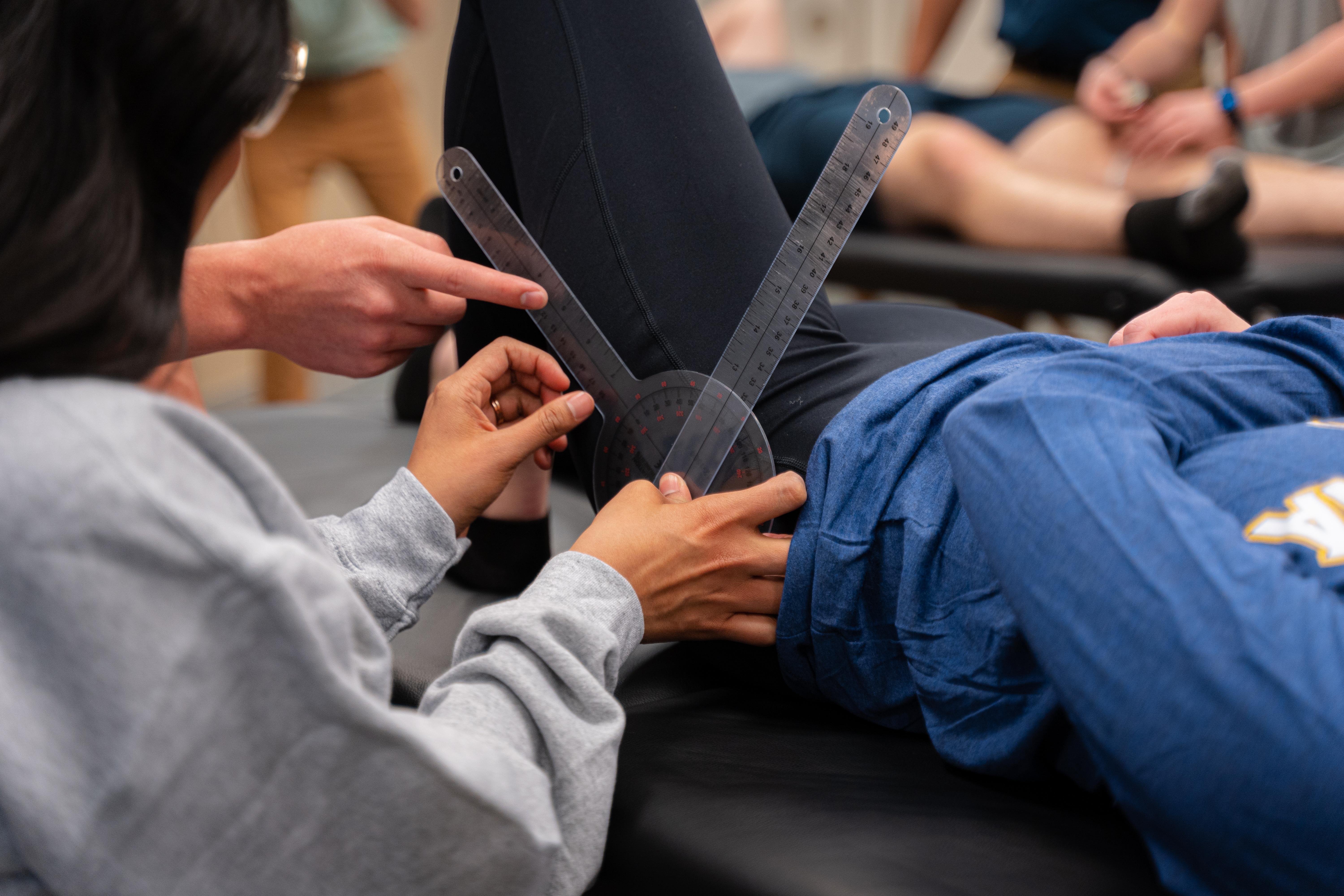 Augustana DPT Program