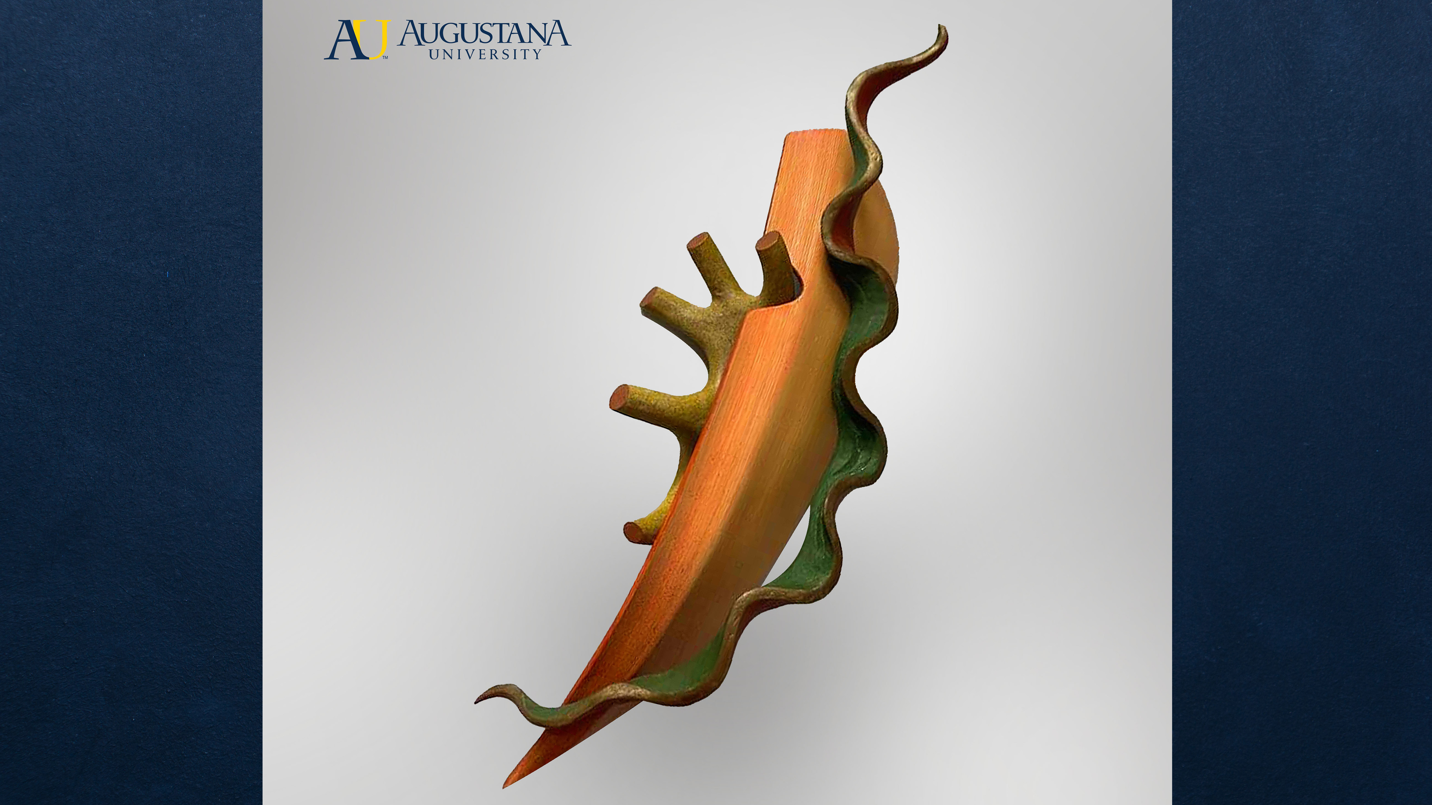 Homepage | Augustana University