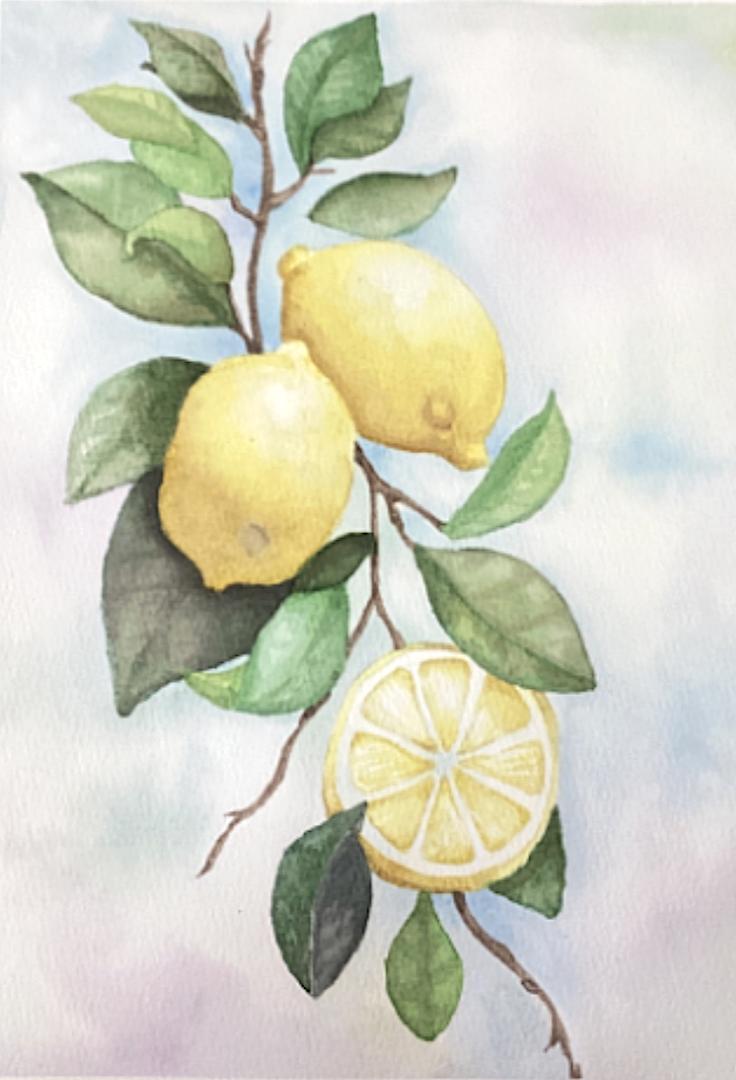 Abi Pilaz, “Sunlit Citrus,” watercolor, 2025; 11th grade, Harrisburg High School; Teacher: Tracy Bird