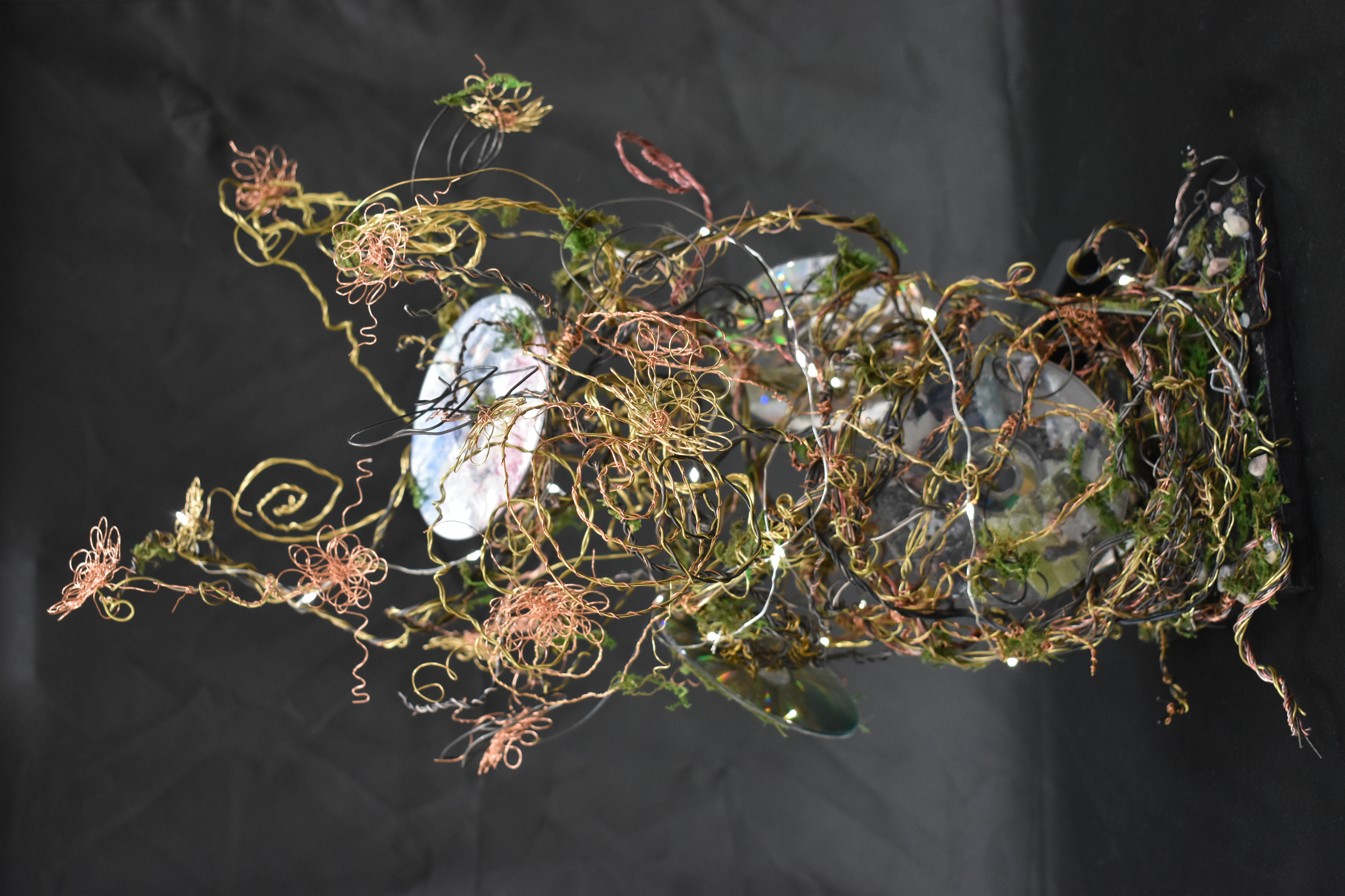 Si Si Htoo, “Tree of Life,” mixed media, 2025; 12th grade, Worthington High School; Teacher: Christy Menke