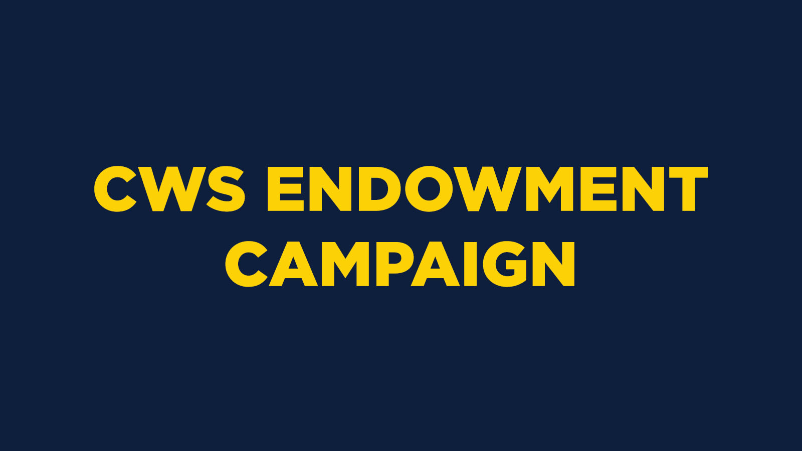 Endowment Campaign
