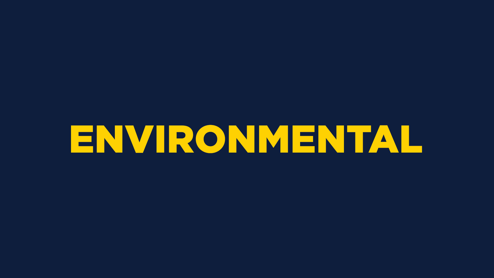 Environmental Summer Camp