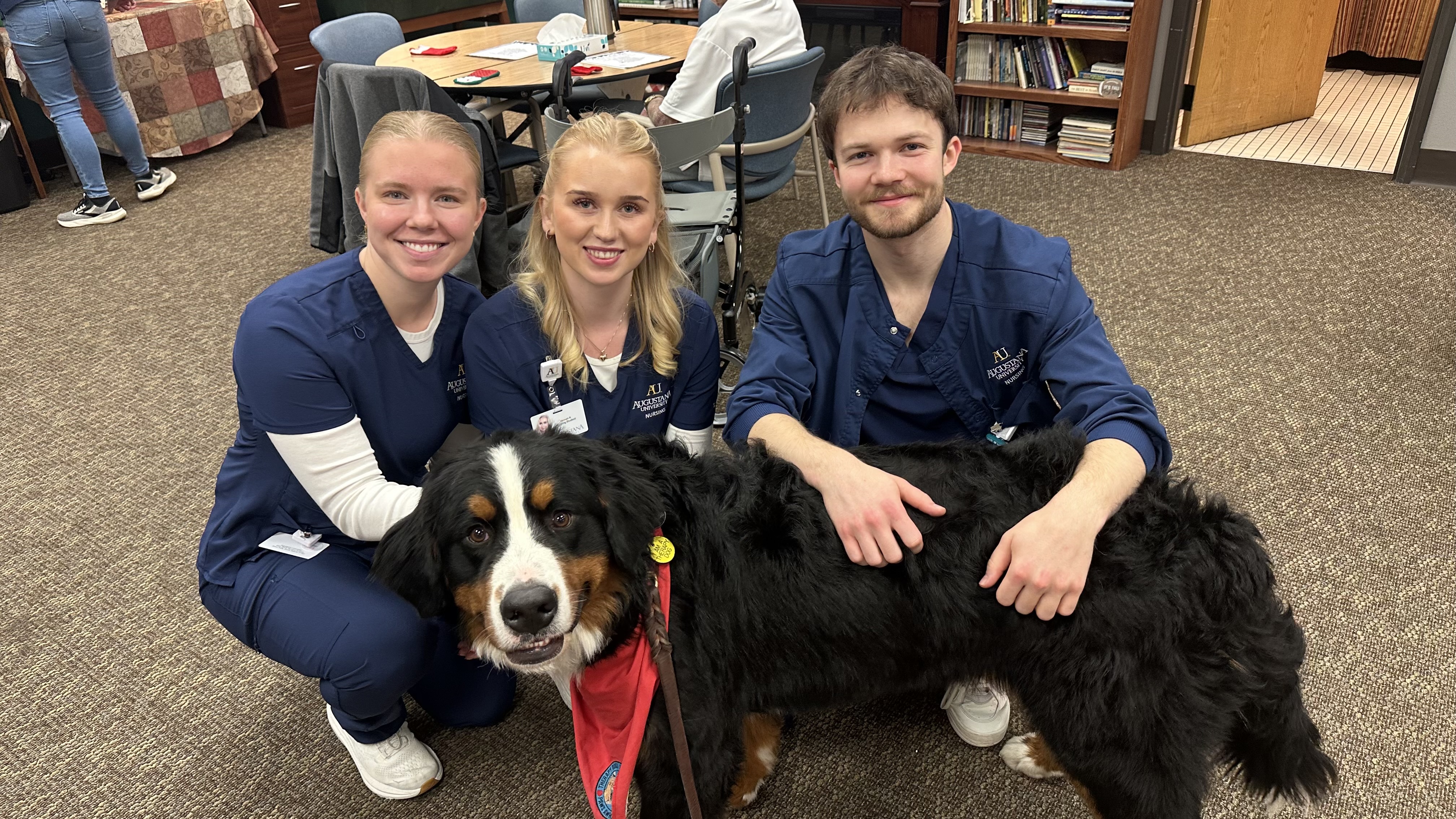 Hannah (middle), Knut (right)