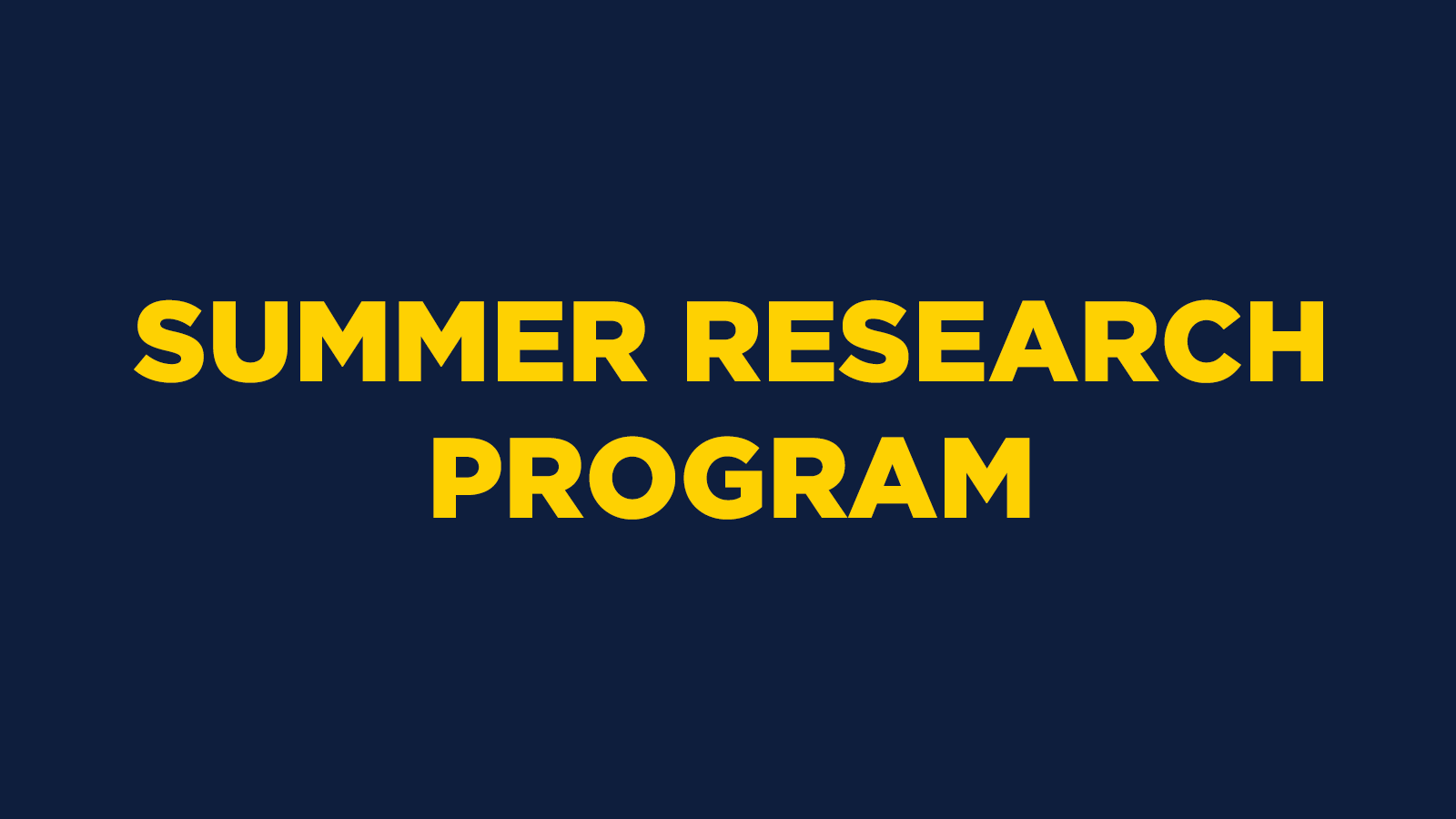 Summer Research Program