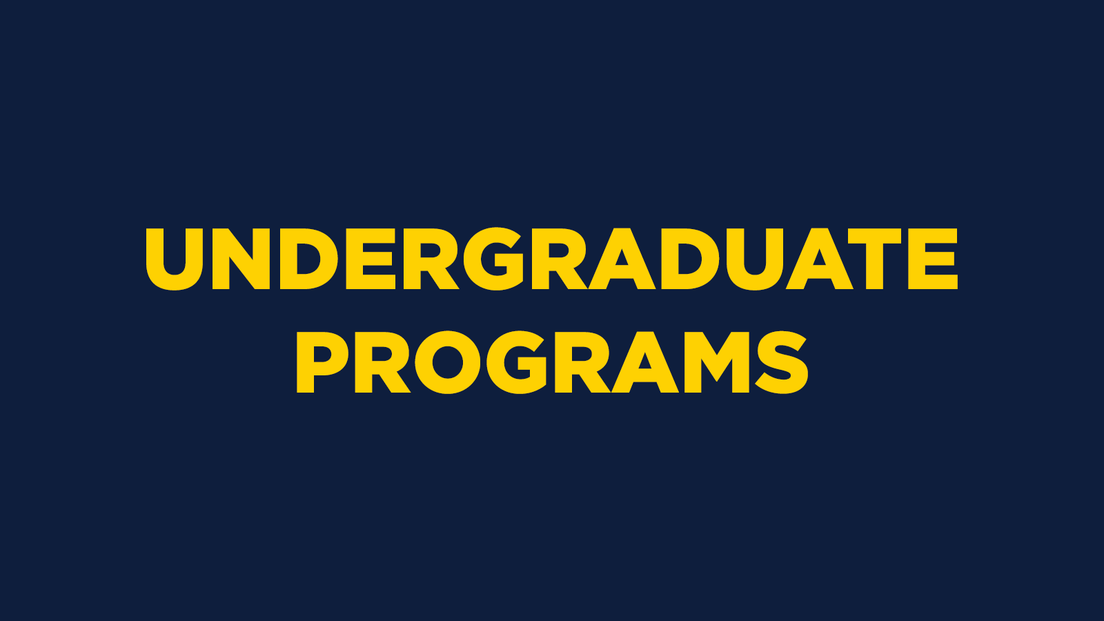 Undergraduate Programs