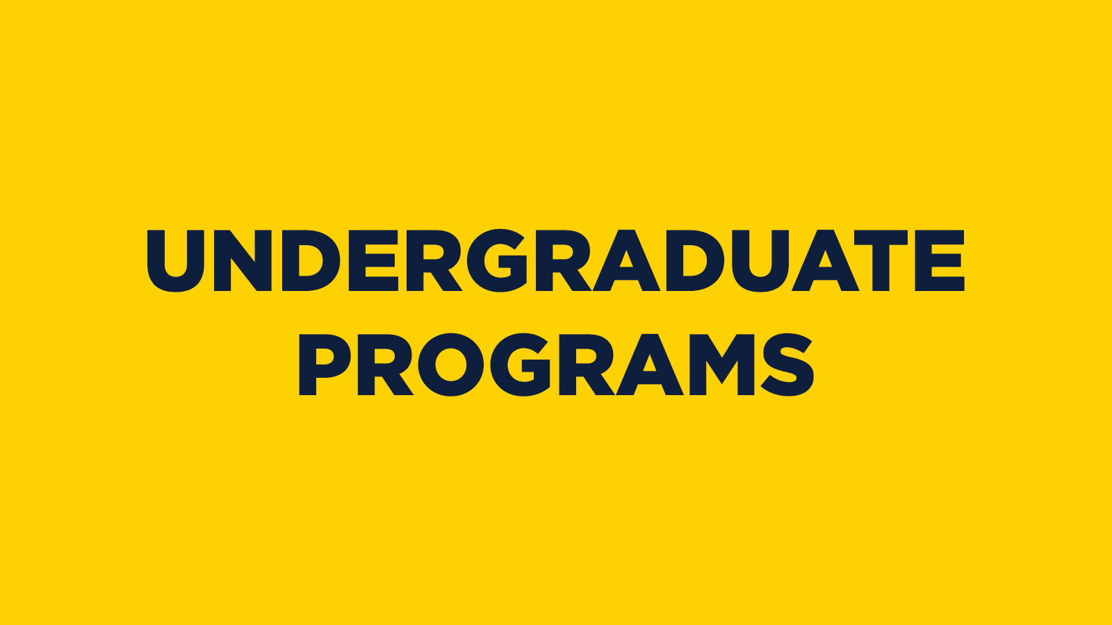 Undergraduate Programs