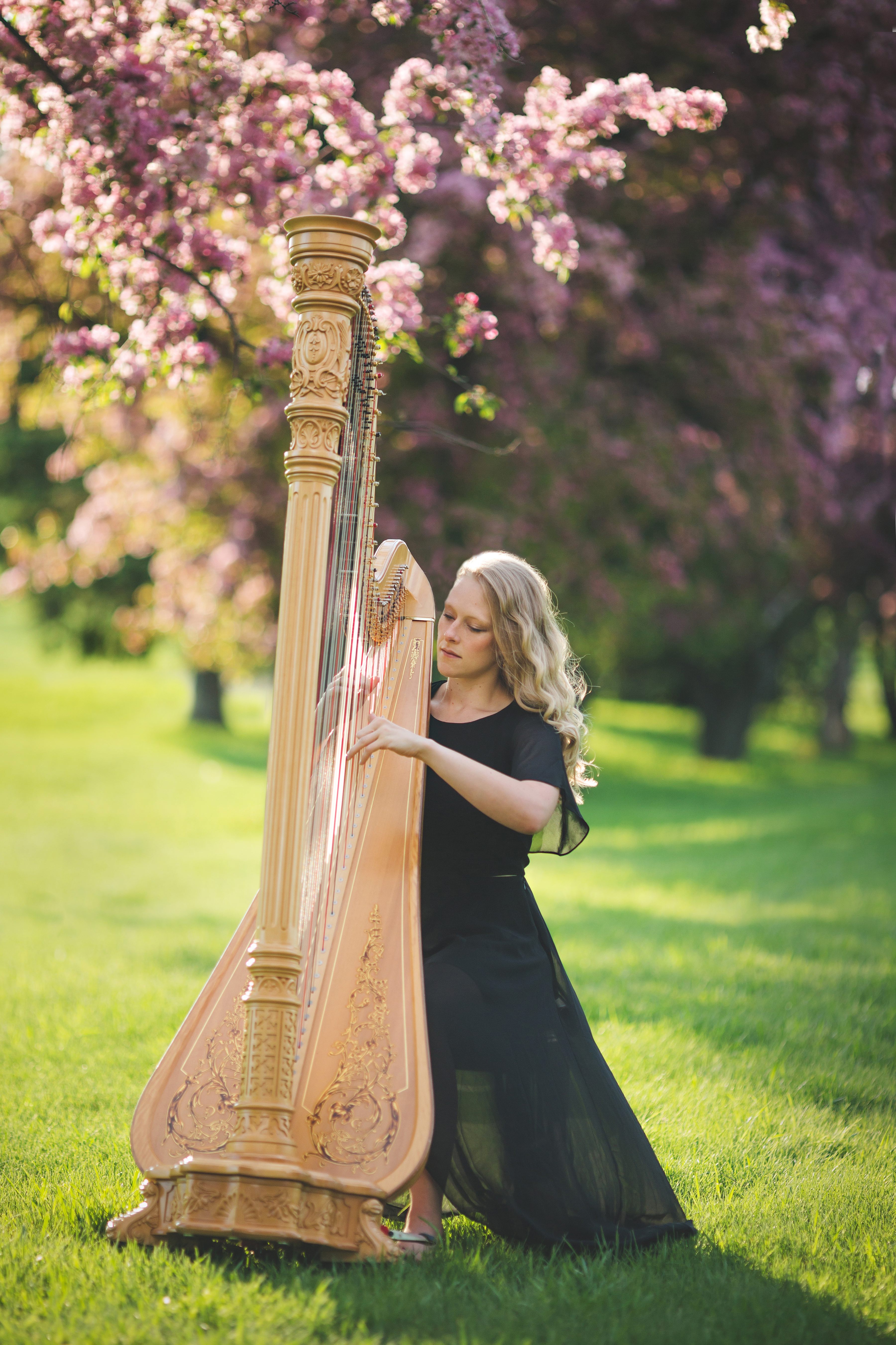 Stadem Playing Harp