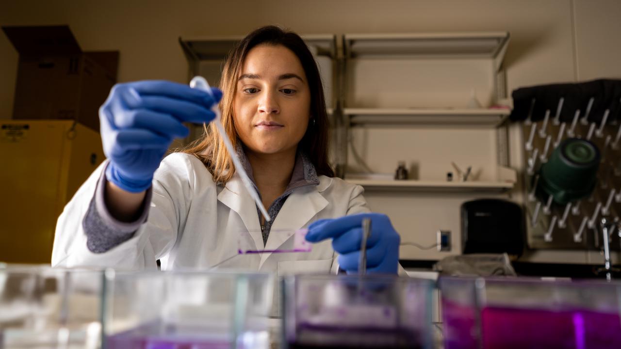 student using pipette