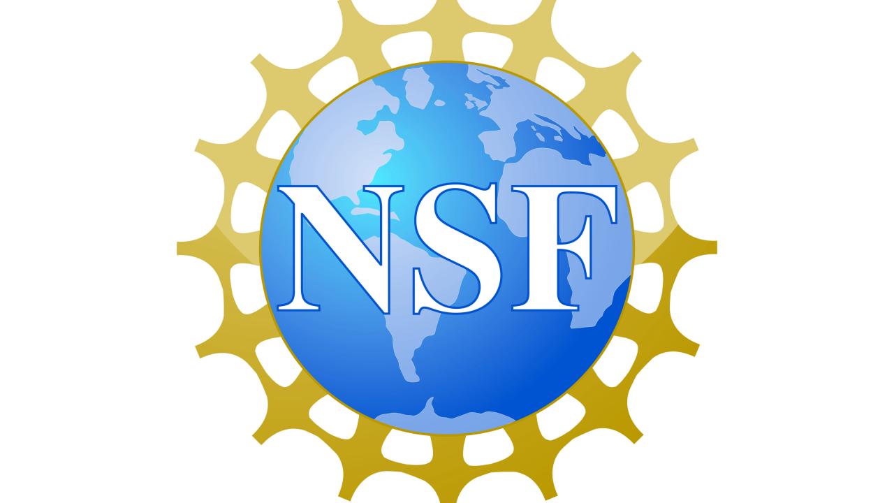 National Science Foundation Logo