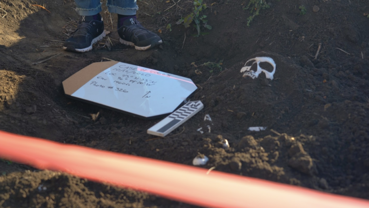 forensics digging site