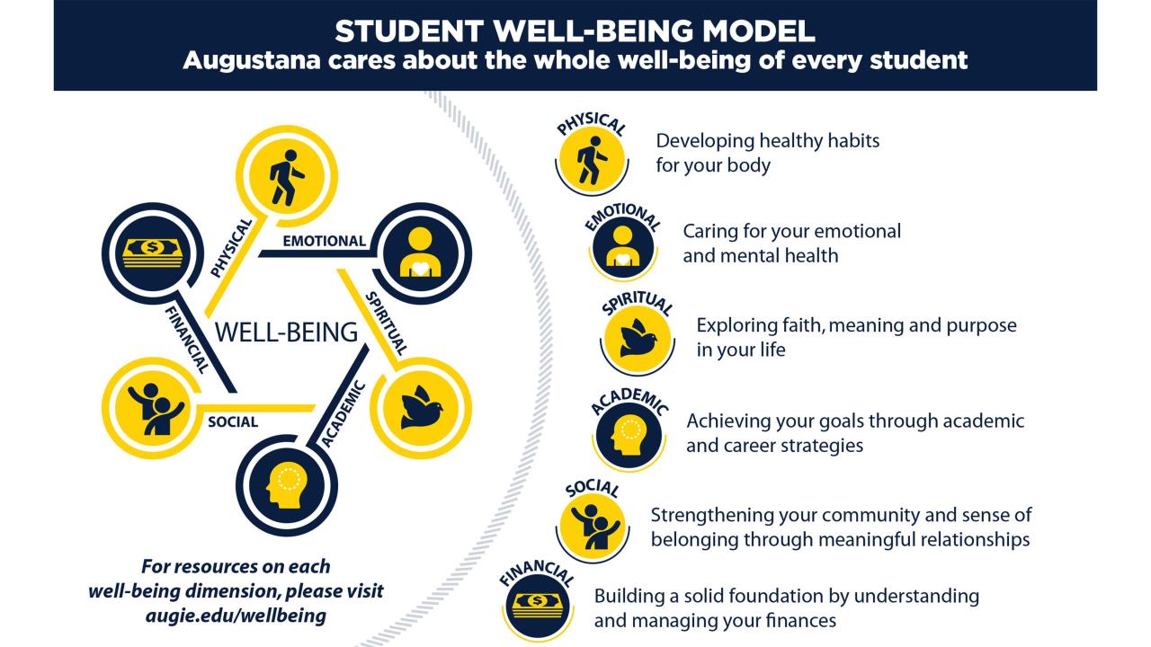 Student Well-Being Model