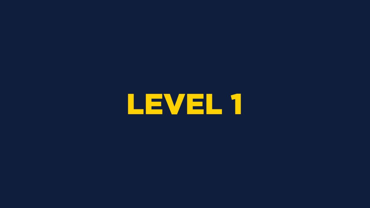 LEVEL 1