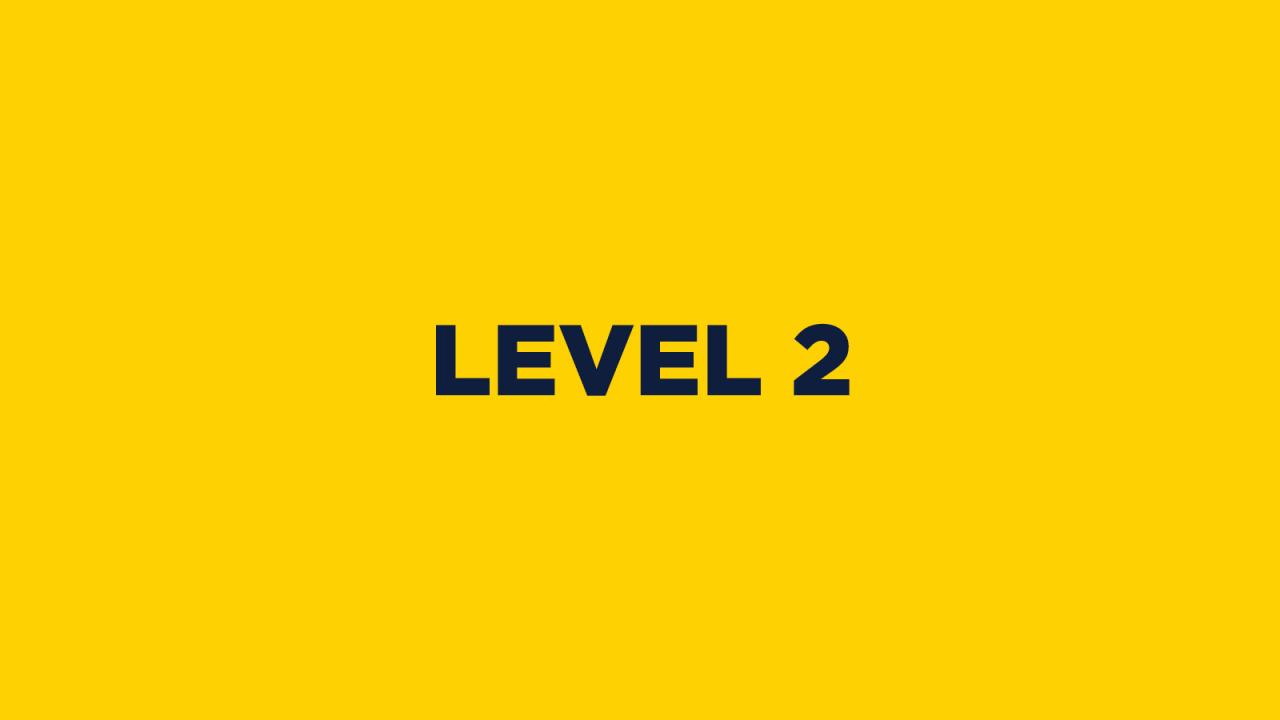 LEVEL 2