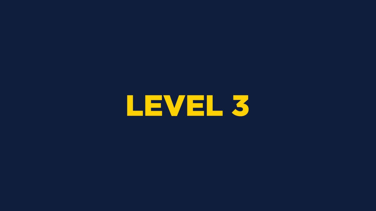 LEVEL 3