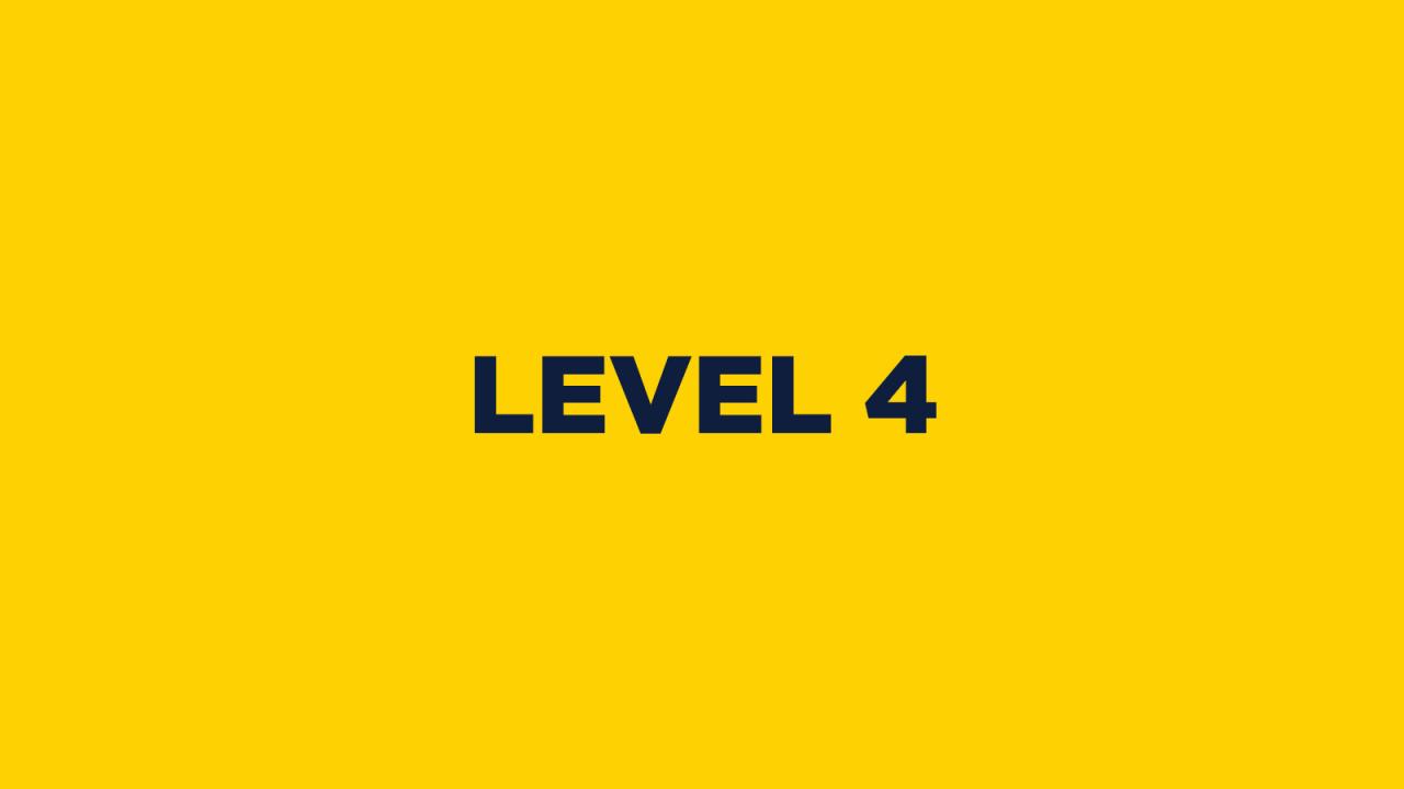 LEVEL 4