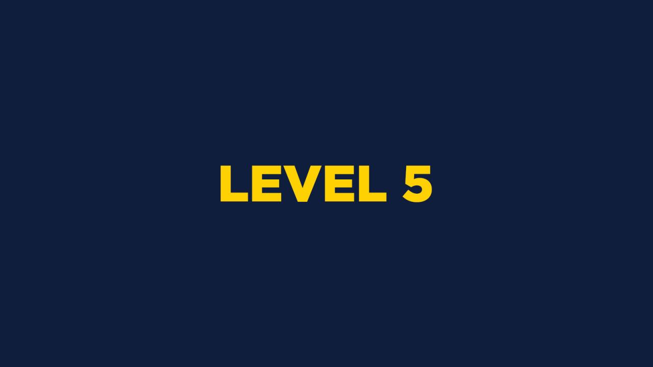 Level 5