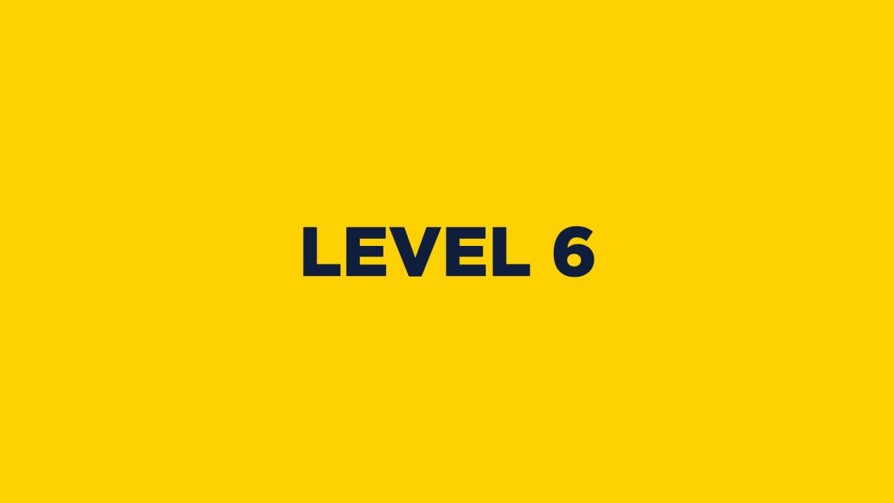 LEVEL 6