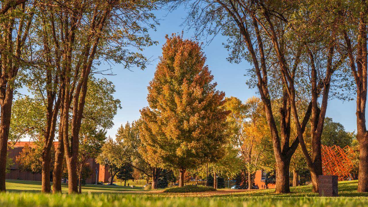 Fall at AU