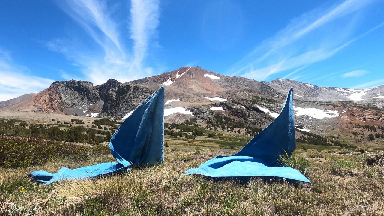 Sandy de Lissovoy, “Long Walks, Sierra” 