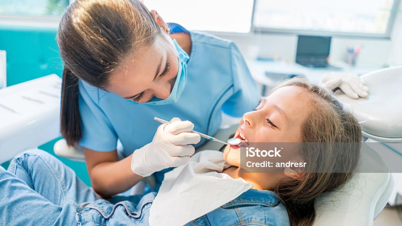 Pre-Dentistry Stock Photo