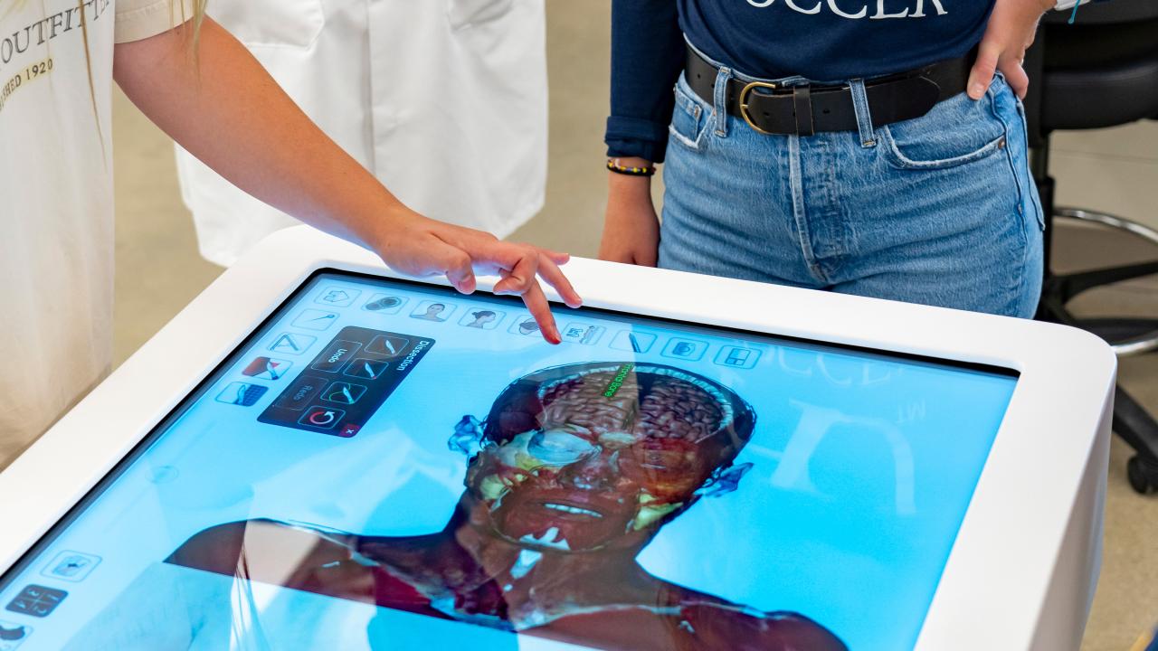 Virtual Cadaver Table