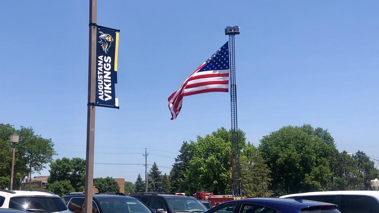 Viking Flag Lot