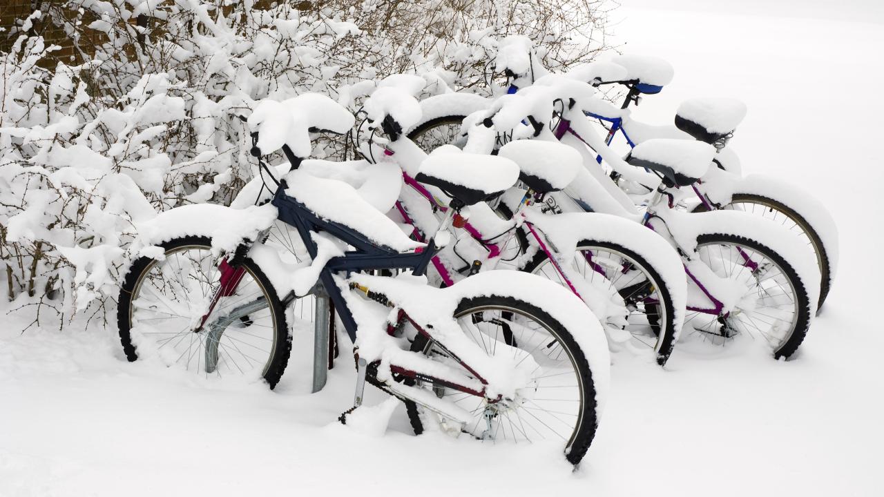 Bikes in Snow