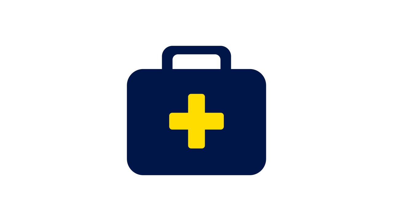 Health Insurance Icon