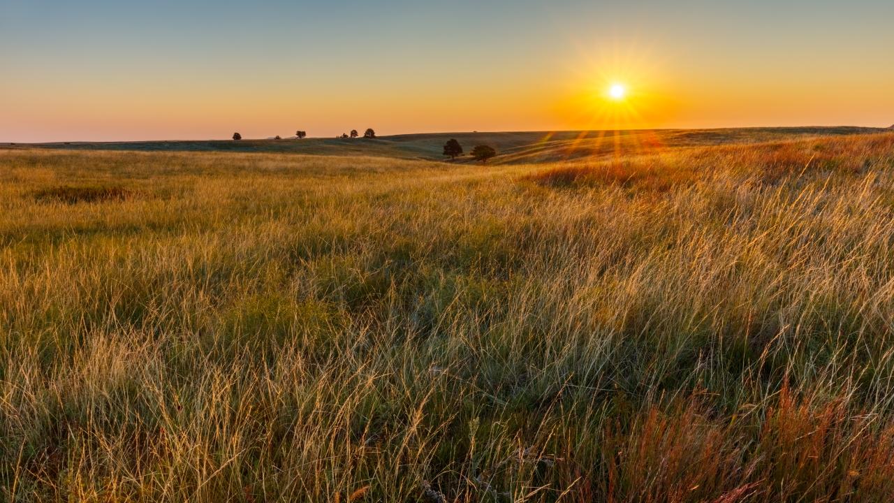 Great Plains Prairie at Sunrise