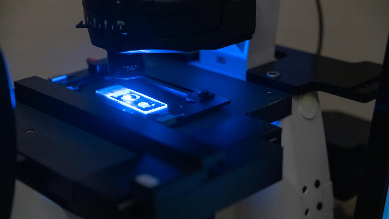 Neuroscience Microscope 2025