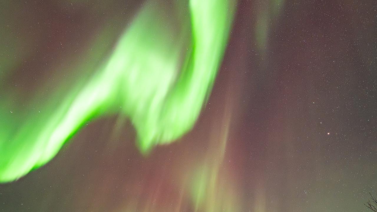 Northern Lights, Mackenzie Duscher
