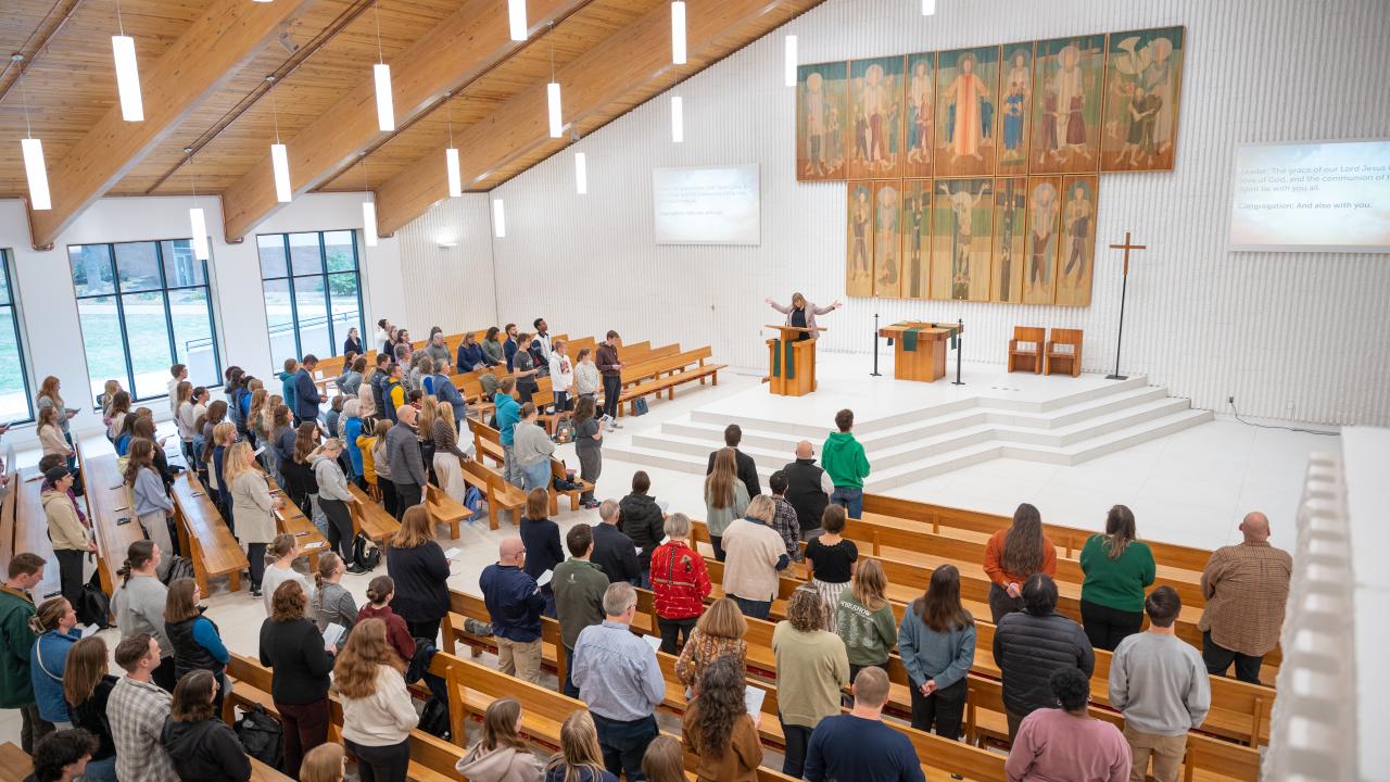 Renovated Sanctuary 2025