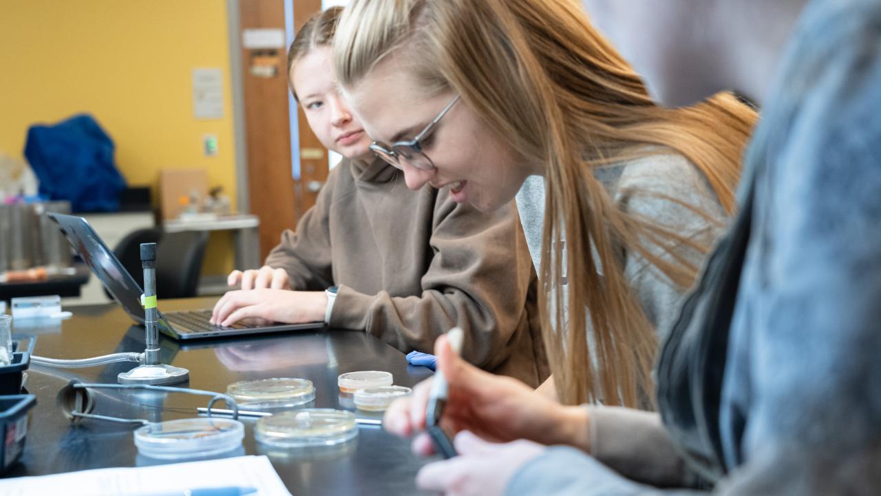 Biology, Medical Lab Science