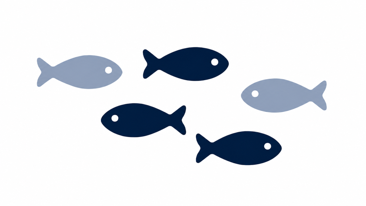 Level 3: Rainbow Fish