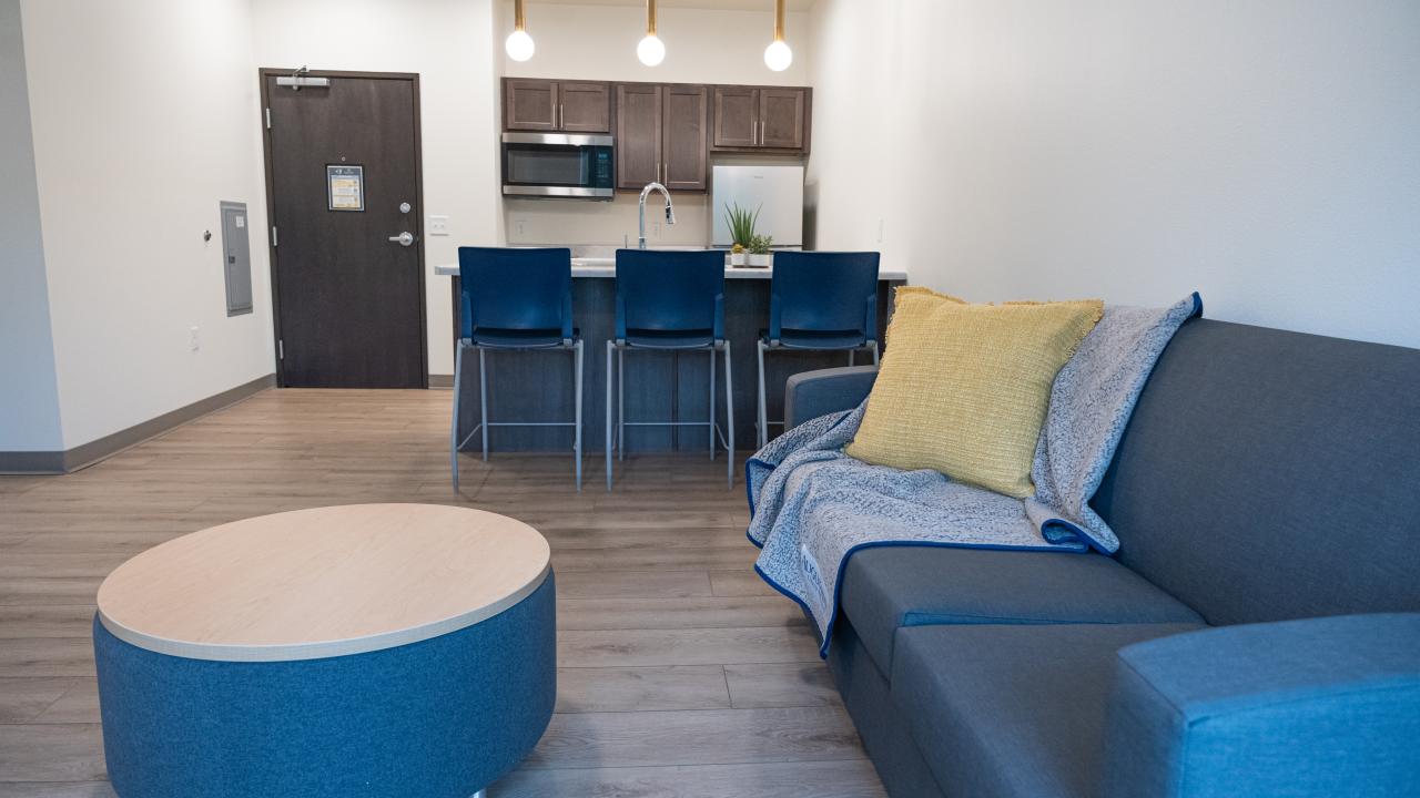 Foundation Heights Apartment — Kitchen/Living Area