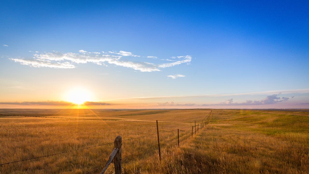 Sun rising over a fenced plain