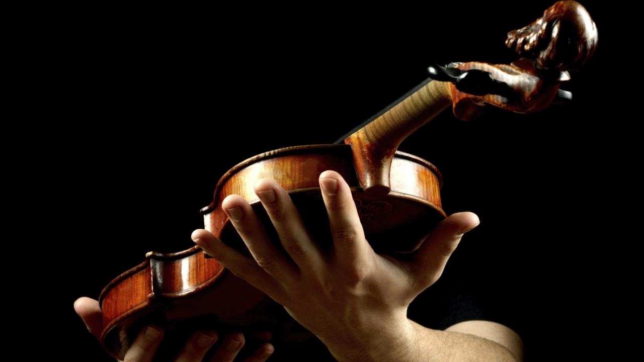 Student holds violin