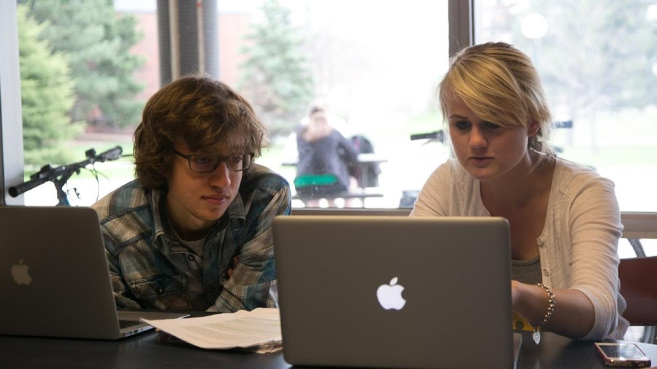Two students working in the library
