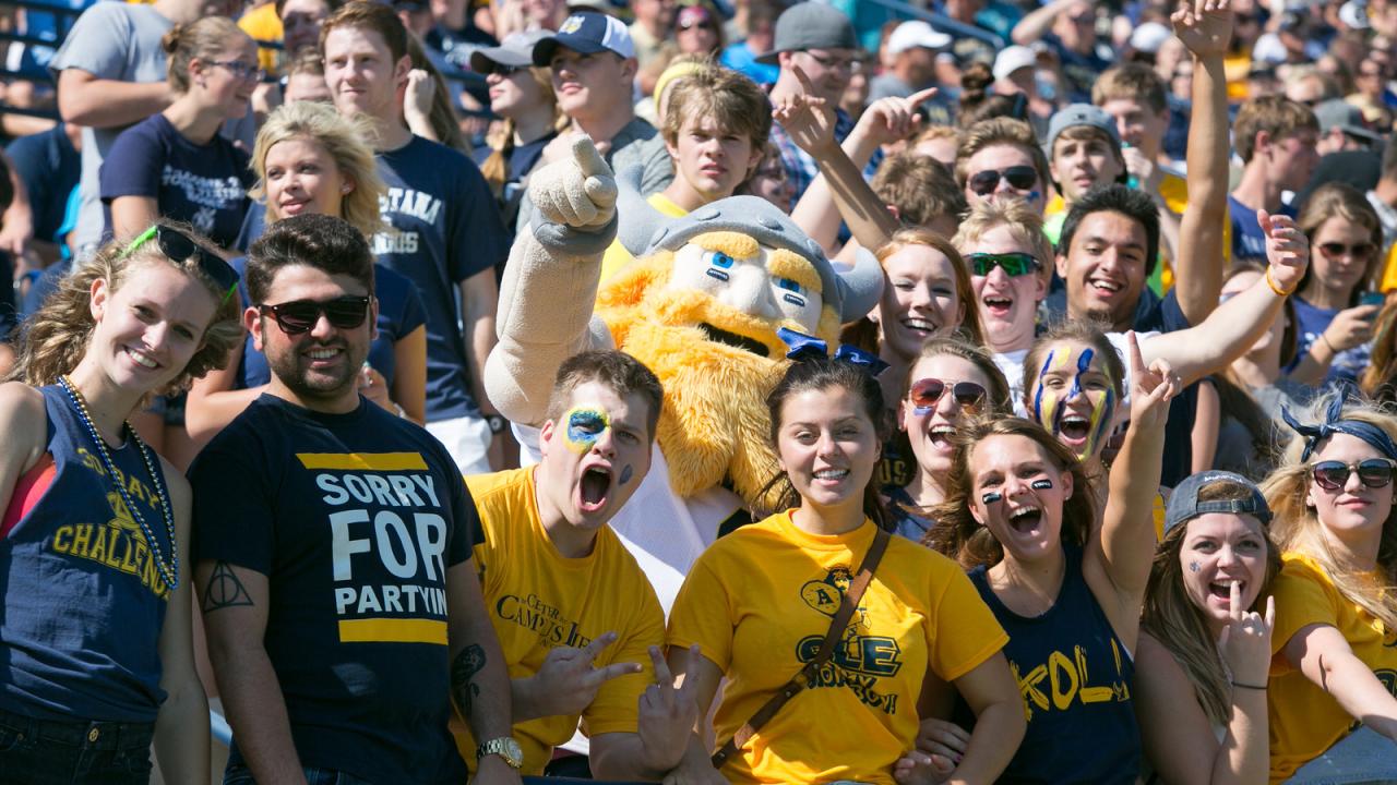 Fans cheer on the Augustana Vikings