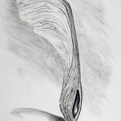 Faculty Biennial 2023 Twa