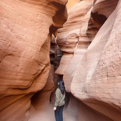 Anushka Subedi, Arizona