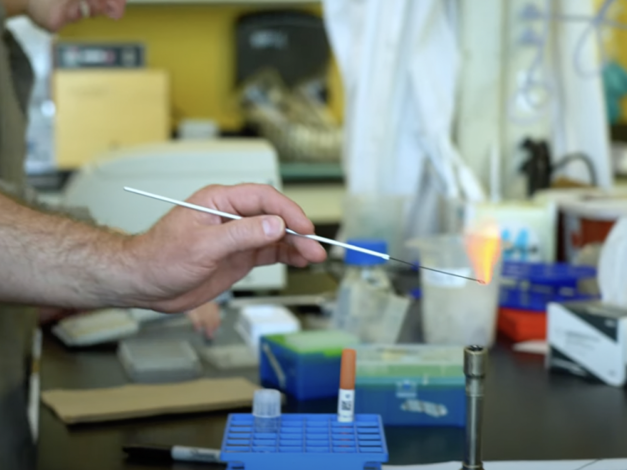 Biology at AU