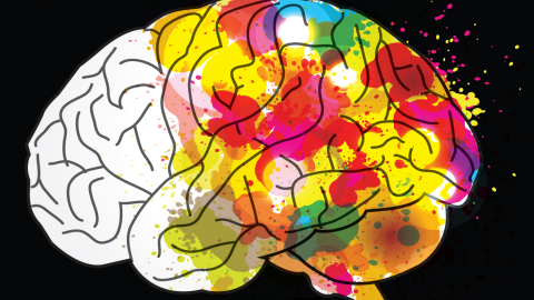 A digital illustration of a human brain, partially outlined in black and white on the left side, while the right side is filled with vibrant splashes of color, including red, yellow, green, and blue. The colorful side appears to represent creativity and artistic expression, contrasting with the structured, monochromatic half. The background is black, emphasizing the bright splashes of color.