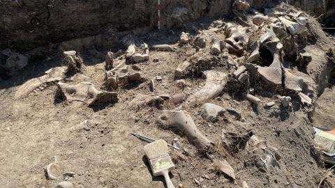 Bison Kill Site 2